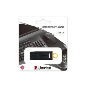 Kingston Data Traveller Original Pen Drive (2GB)